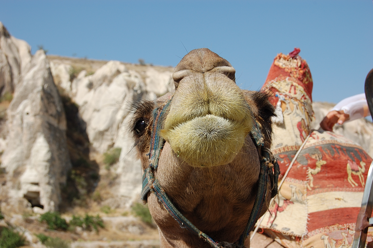 Dolina Goreme212.jpg