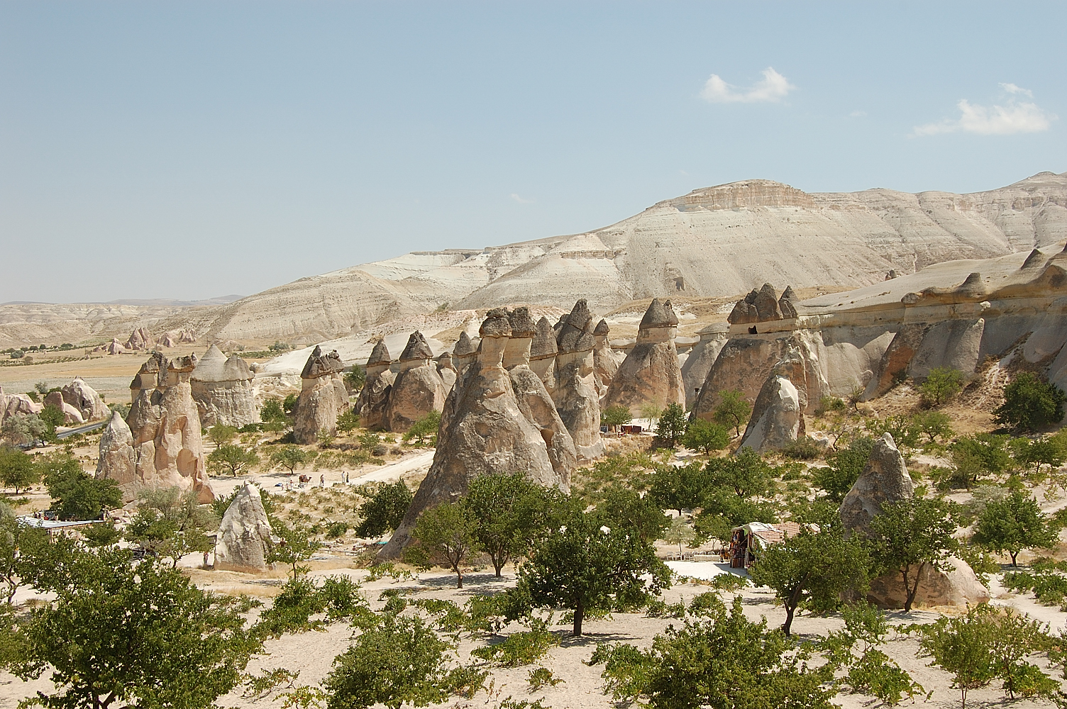 Tufowe grzybki w Zelve255.jpg