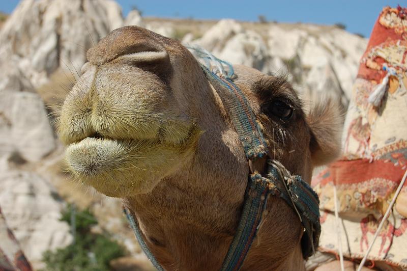 Dolina Goreme219.jpg